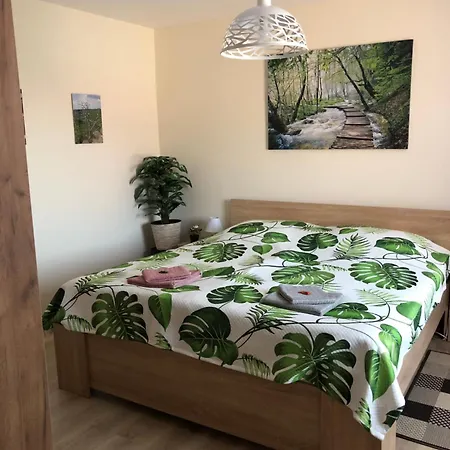 Panorama Apartman Felsoetarkany Felsotarkany Exterior photo